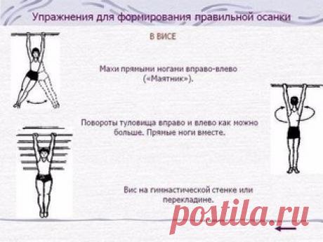 Упражнения для красивой осанки и против болей в спине
Результата добьетесь при регулярных тренировках.