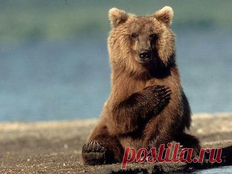 Василий Тимошин vasiliy-timoshin (Vasilek), Москва, Россия на Мой Мир@Mail.RU