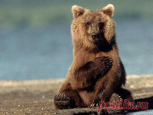 Мой Мир@Mail.Ru