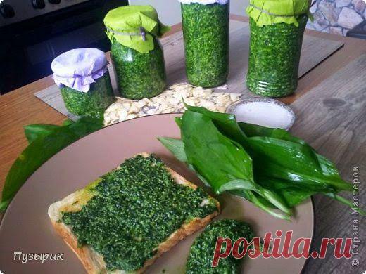 Песто из черемши. Вот это уж точно приворотное зелье: кто хоть раз попробует - полюбит навсегда!.