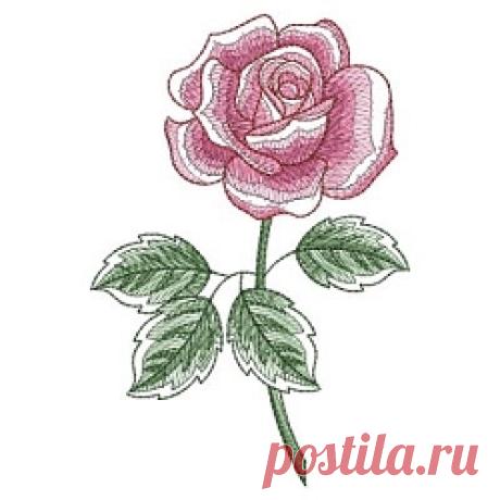 Sketched Roses 2 Set, 19 Designs - 5x5 | Wedding | Machine Embroidery Designs | SWAKembroidery.com