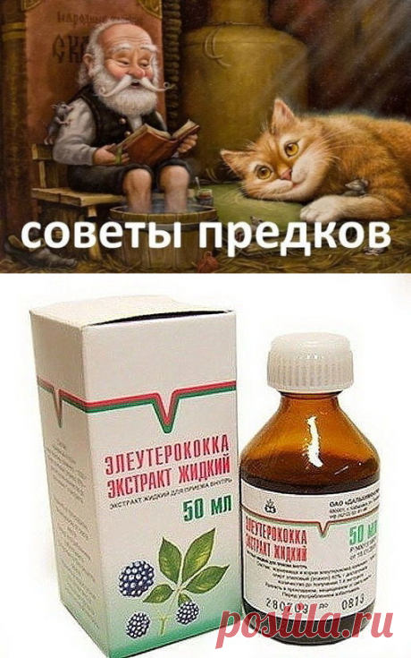(63) Одноклассники