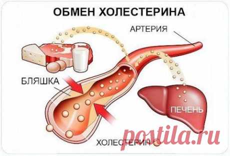 Как можно снизить уровень холестерина | Советы Народной Мудрости