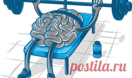 Как спорт влияет на мозг? | Журнал "JK" Джей Кей