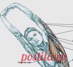 Здоровье и красота - стр. 1