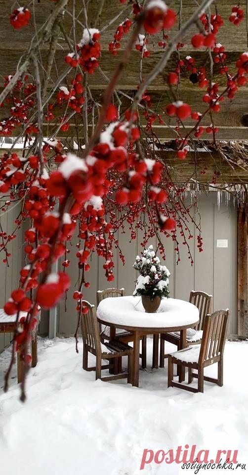 Заснеженная терраса возле дома, фото на тему 