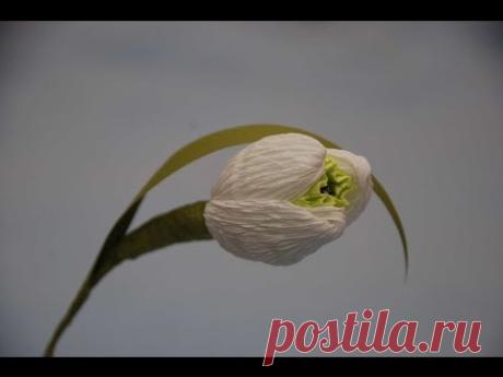 МК Подснежники для букета из конфет. DIY Snowdrop of sweets