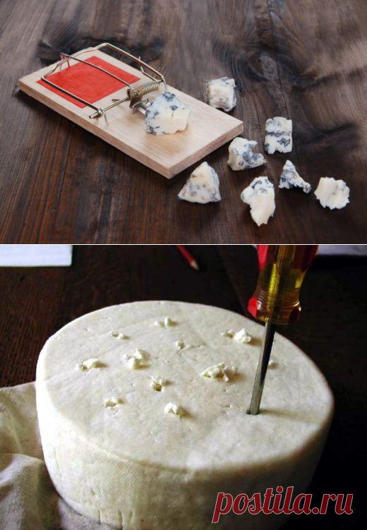 (+1) тема - Безопасно ли есть голубой сыр (с плесенью) и можно ли его сделать дома | Среда обитания