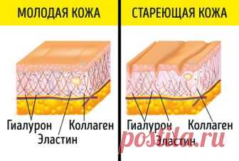 9 добавок, которые работают лучше и стоят дешевле любого крема от морщин