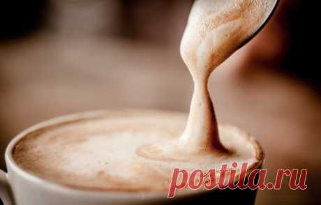 Гид по кофе: 10 рецептов самых популярных напитков - KitchenMag.ru