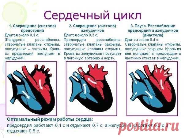 Новости