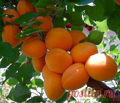 ДРУЗЬЯ ЭТО ВАМ!