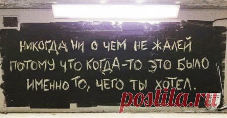 Немного забавной философии, Фитнес для мозга