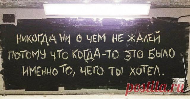 Немного забавной философии, Фитнес для мозга