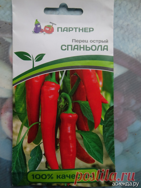 Перец Цицак сушёный.: Дневник пользователя Татьяна Векленко