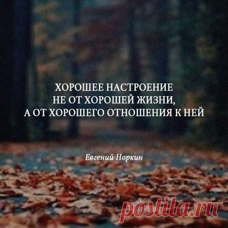 Image may contain: outdoor and nature, text that says 'хорошее настроение не от хорошей жизни, A от хорошего отношения к ней евгений норкин'