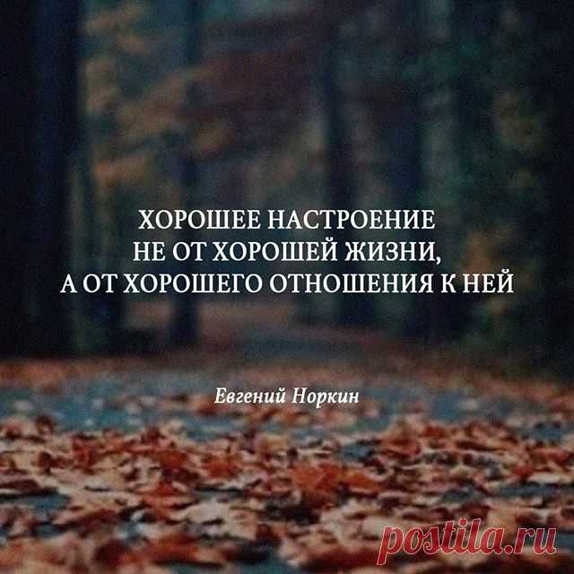 Image may contain: outdoor and nature, text that says 'хорошее настроение не от хорошей жизни, A от хорошего отношения к ней евгений норкин'