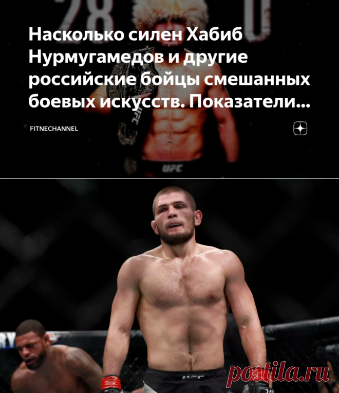 Насколько силен Хабиб Нурмугамедов и другие российские бойцы смешанных боевых искусств. Показатели впечатляют | fitnechannel | Яндекс Дзен