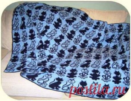 Без кота и жизнь не та