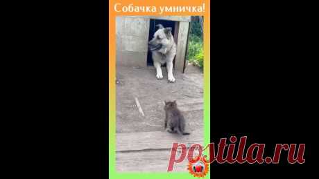 - Здравствуйте! А можно я у Вас немножко поживу?