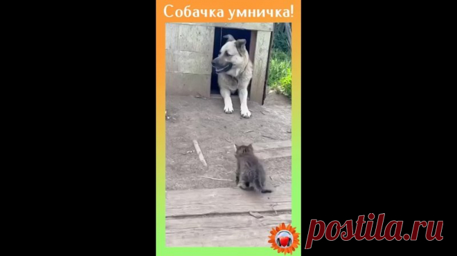 - Здравствуйте! А можно я у Вас немножко поживу?