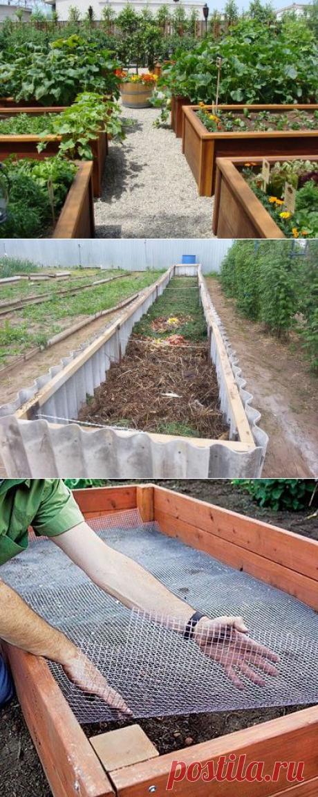 Теплые грядки своими руками: идеи, правила, полезные советы