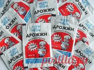 ДРОЖЖИ ВМЕСТО ХЛОРКИ | Блог сайта Muza.Name