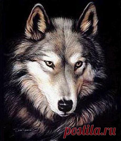 ВСЁ ЛУЧШЕЕ ИЗ YOU TUBE (16 плюс)
Кошка в босоножках