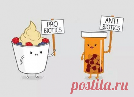 3 правила выбора качественного пробиотика. Рецепт кокосового йогурта. | Крепкие здоровьем, сильные духом | Яндекс Дзен