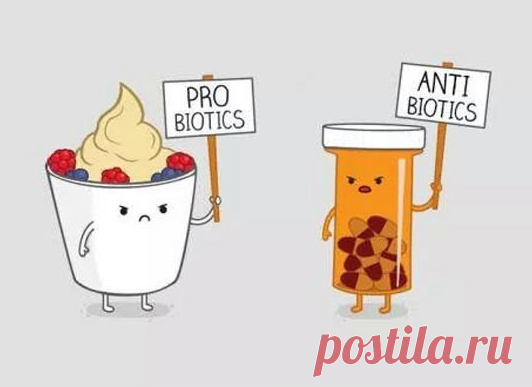 3 правила выбора качественного пробиотика. Рецепт кокосового йогурта. | Крепкие здоровьем, сильные духом | Яндекс Дзен