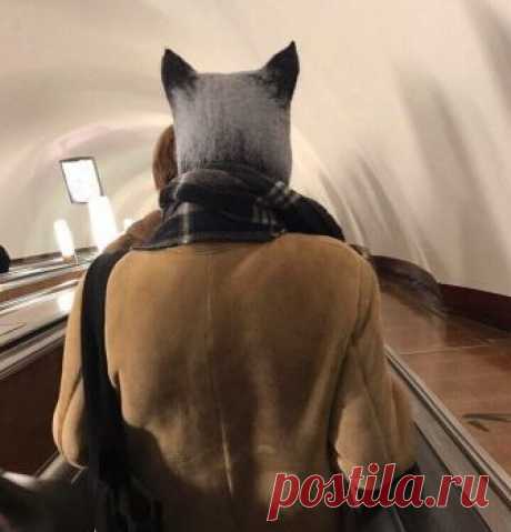 23 подтверждения, что в метро встречаются абсолютно уникальные персонажи