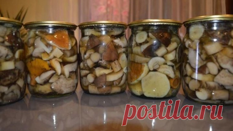 Маринованные Грибы Самый Вкусный Маринад. Белые Грибы на Зиму.