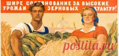 Как СССР решал продовольственную программу С мотыгами на совхозных полях Когда во времена СССР я работал на заводе, помню, как надо было выделить от цеха работников в подшефный совхоз. Тогда как