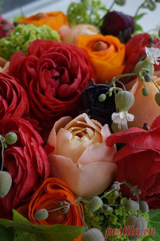 флористика