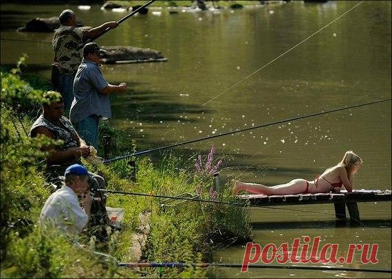 Выбор подходящего места для рыбалки / Богатая добыча
