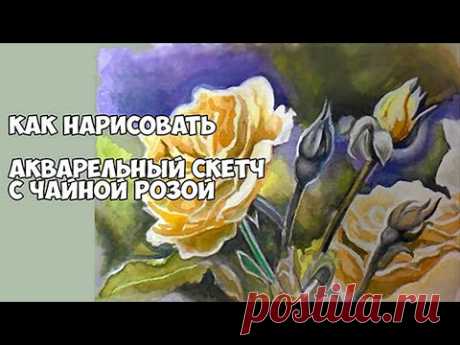 Как нарисовать розу. Скетчинг для начинающих. Как нарисовать цветы