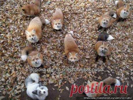 Классический сюжет(но с размахом! Действительно, чего мелочиться?)