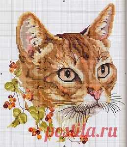 Вышивка "Котики" » Женский Мир