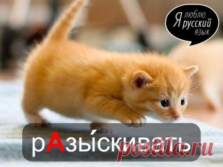 Стена