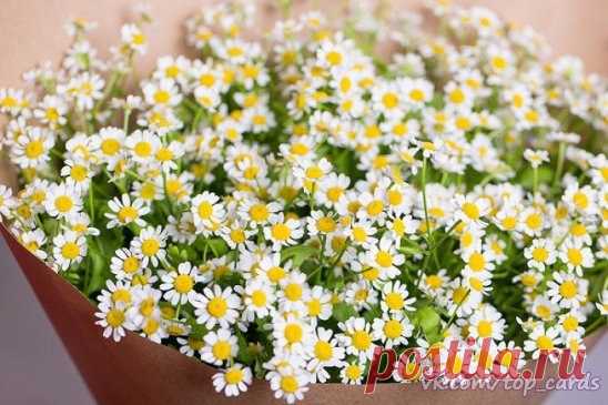 КАКОЙ СЕГОДНЯ ПРАЗДНИК? 27 Апреля 2016 г. – Среда • Международный день секретаря (День профессиональных административных работников) 64 года • День российского парламентаризма 110 лет • День 50-процентной вероятности встречи с динозавром • День нотариата (день нотариуса) 9 лет • День рождения "памперсов" 51 год • День специальных частей по охране МПСР, ВГО и СГ внутренних войск МВД РФ 70 лет • День святой Зиты (покровительница официантов, лакеев и домработниц) • День независимости -…