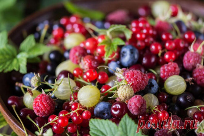 Von Aronia bis Goji: Was in Super-Beeren steckt | WEB.DE