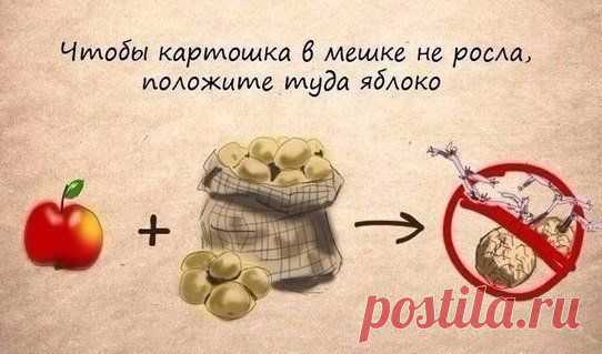 (617) Pinterest