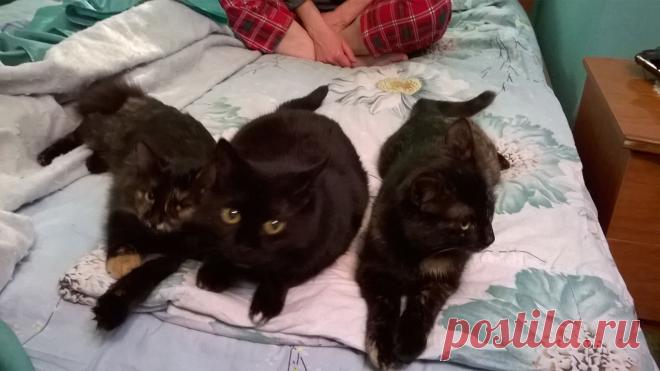 Почётный караул)