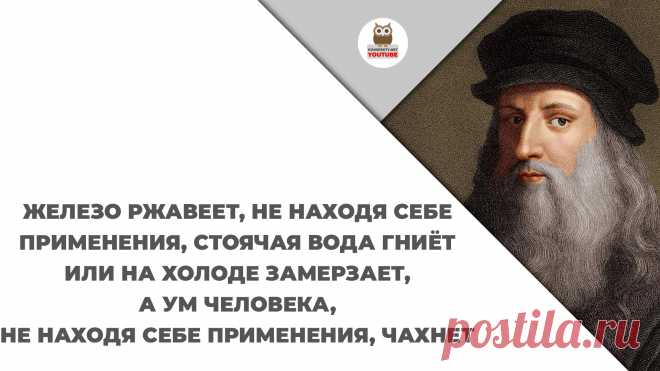 Железо ржавеет, не находя себе применения, стоячая вода гниёт или на холоде замерзает, а ум человека, не находя себе применения, чахнет

#KONSPEKTYNET #Цитаты #ЦитатыВеликих #МудрыеМысли #Высказывания #Афоризмы #ЛеонардоДаВинчи #Труд #Работа #Трудности #Препятствия #Цель #Хобби #Время #Достижения