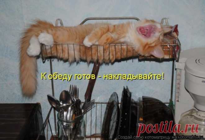 Позитив зверский. Котоматрицы для хорошего настроения