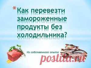 Как перевезти замороженные продукты без холодильника - из собственного опыта | Мир домохозяйки