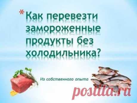 Как перевезти замороженные продукты без холодильника - из собственного опыта | Мир домохозяйки