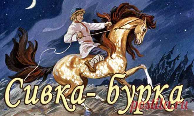 Картинки из сказки «Сивка — Бурка» (35 фото) ⭐ Забавник