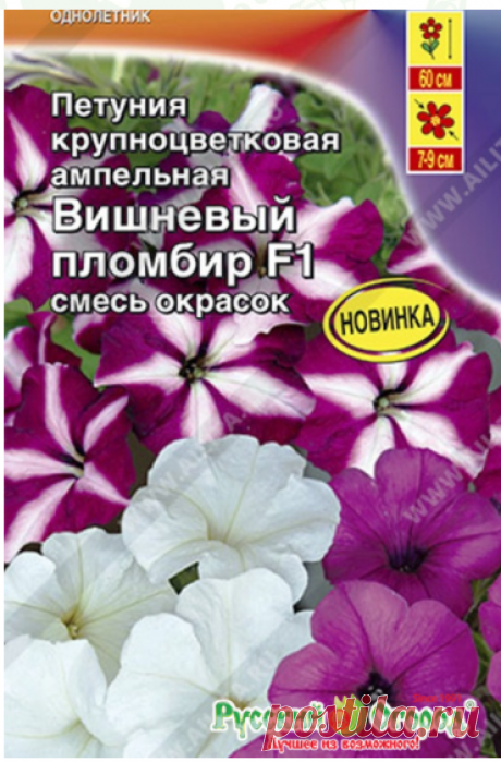 Семена Петуния Вишневый пломбир F1 крупноцветковая ампельная, смесь окрасок: описание сорта, фото. Купить с доставкой или почтой России.