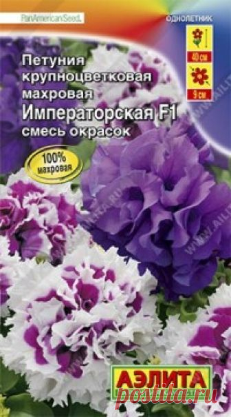 Семена. Петуния 
